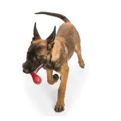 West Paw Hurley Fetch Toy for Tough Dogs Outlet