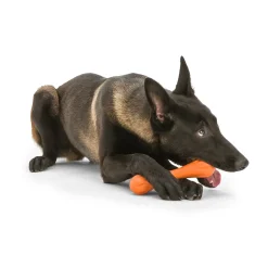 West Paw Hurley Fetch Toy for Tough Dogs Outlet