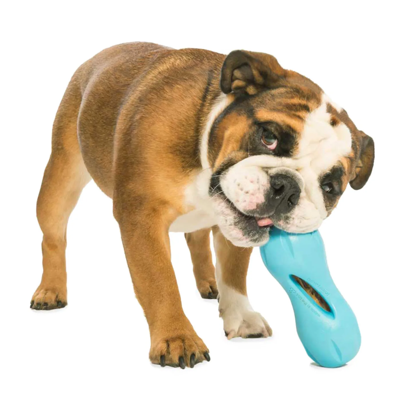 West Paw Qwizl Treat Dispensing Dog Toy - Treat Dispensing Dog Toy Outlet