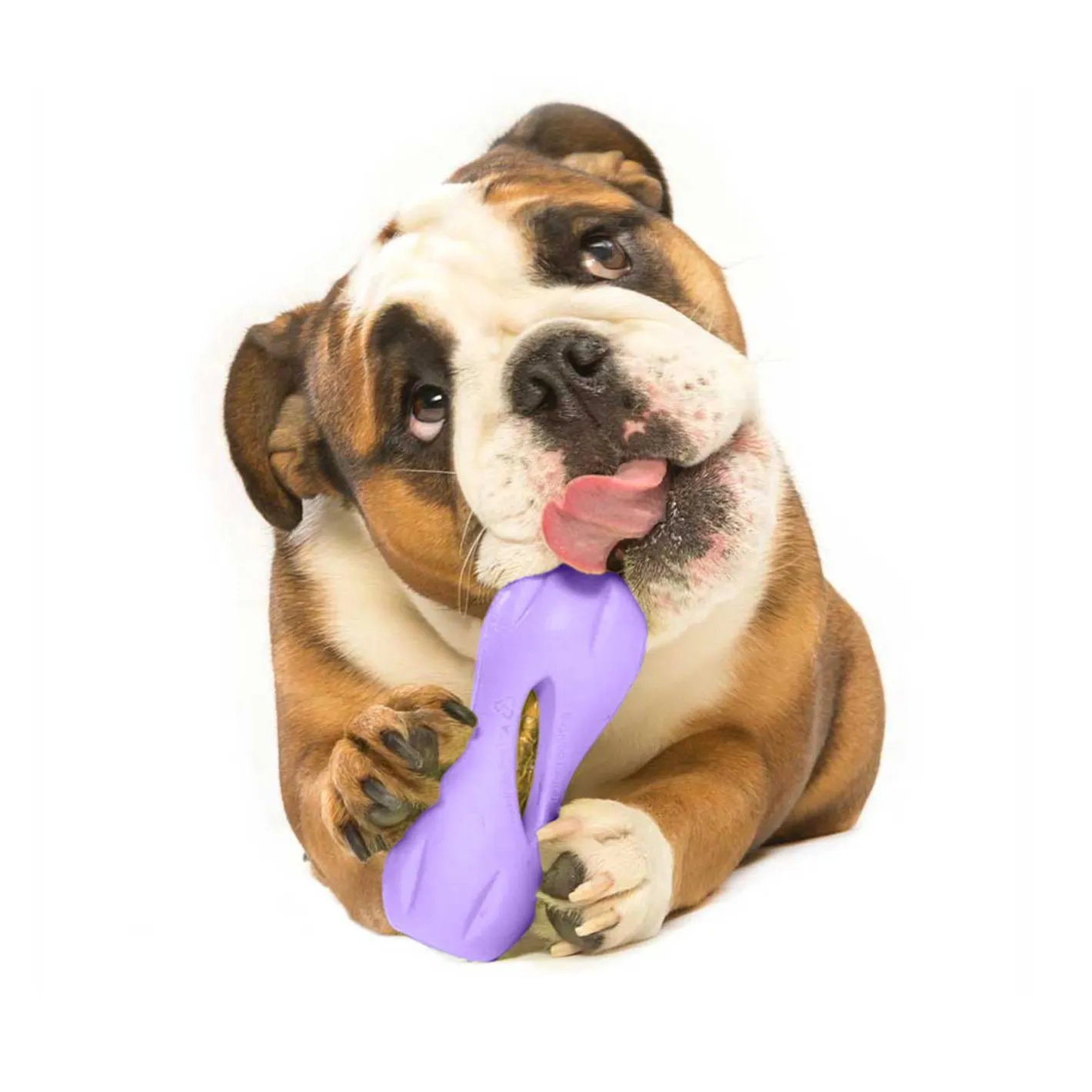 West Paw Qwizl Treat Dispensing Dog Toy - Treat Dispensing Dog Toy Outlet