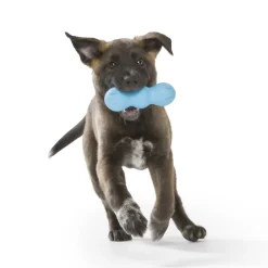 West Paw Rumpus Tough Fetch Stick Dog Toy New