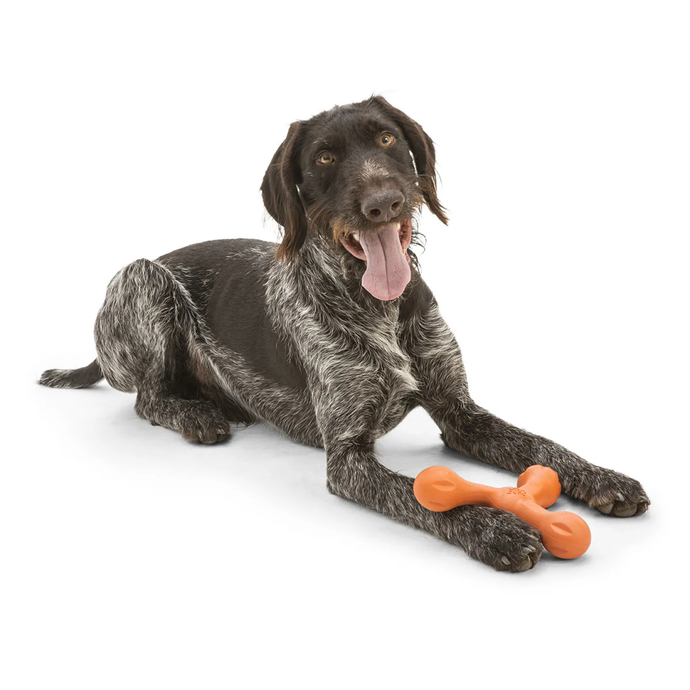 West Paw Skamp Flyer-Inspired Fetch Dog Toy in Bright Colours Online