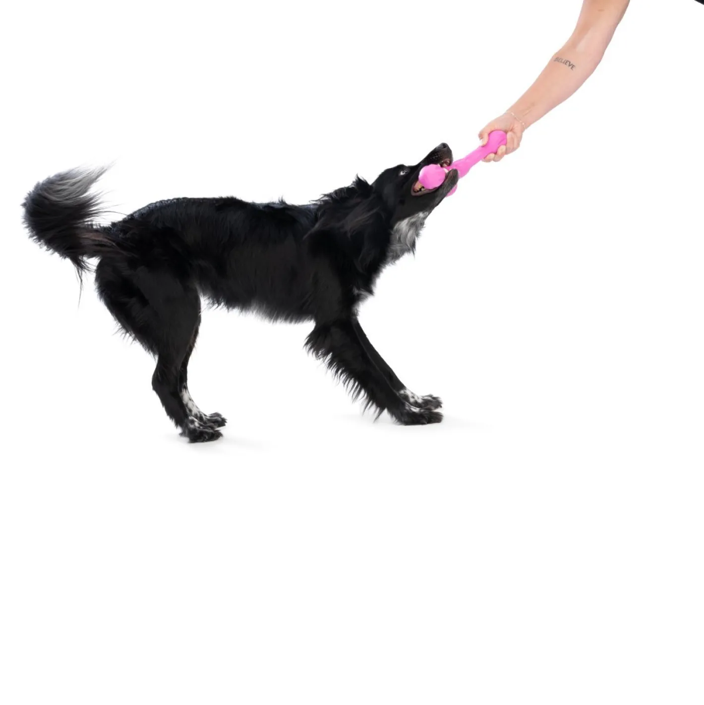 West Paw Skamp Flyer-Inspired Fetch Dog Toy in Bright Colours Online