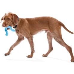West Paw Tizzi Treat & Tug Toy for Tough Dogs Hot