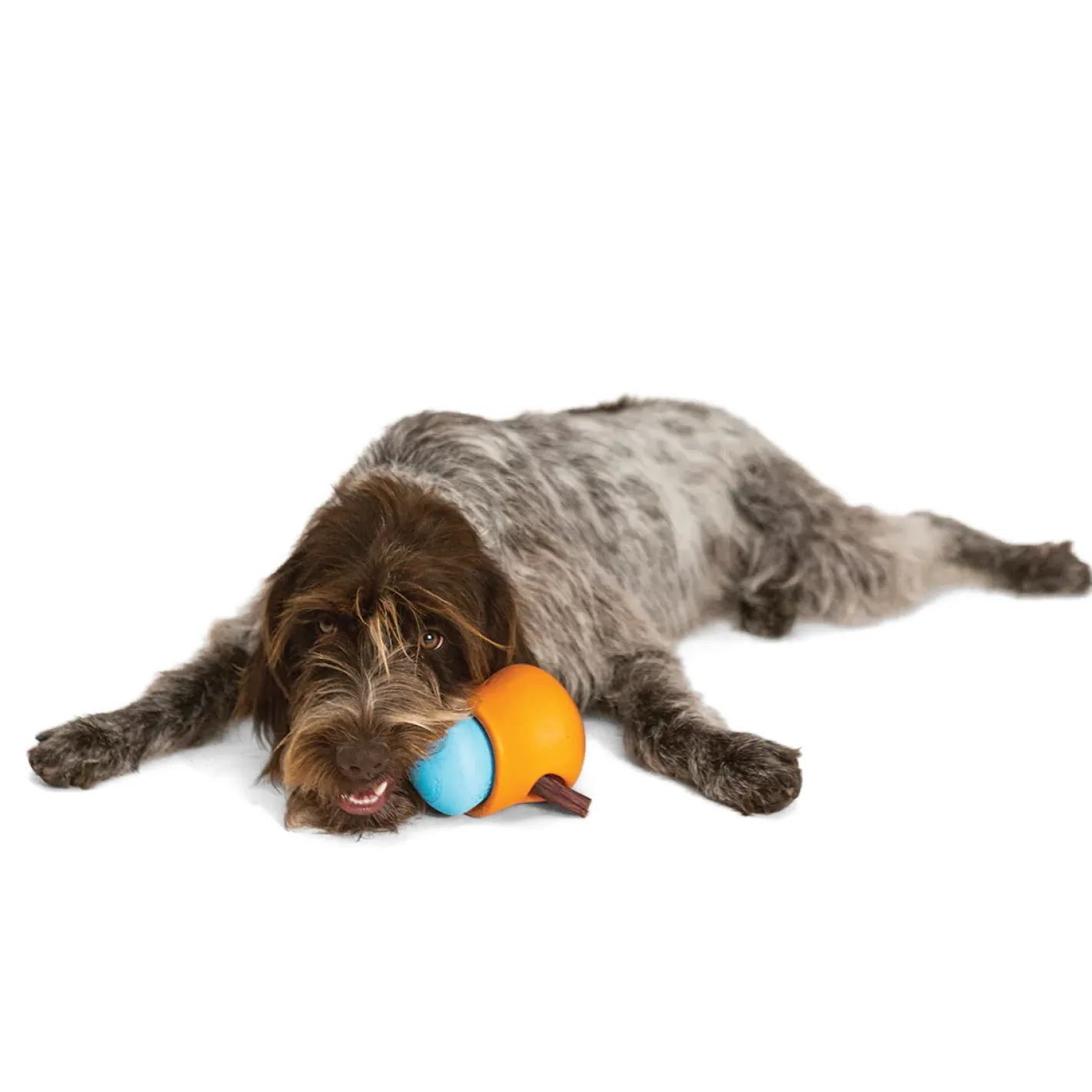 West Paw Toppl Treat Dispensing Wobbling Dog Toy & Food Bowl - Holiday Colours New