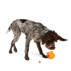 West Paw Toppl Treat Dispensing Wobbling Dog Toy & Food Bowl Fashion