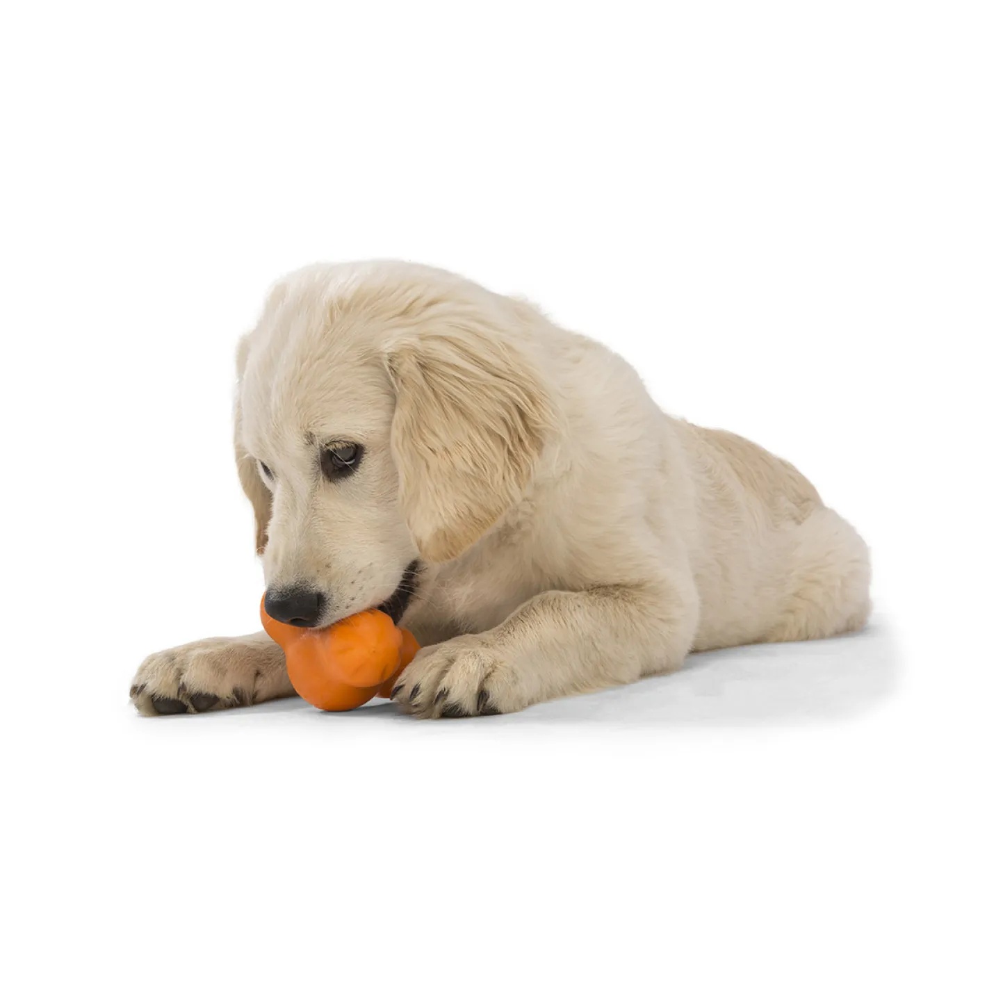 West Paw Tux Treat Dispenser for Tough Dogs Hot
