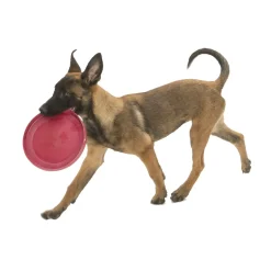 West Paw Zisc Flying Disc Fetch Dog Toy - Ruby Red Sale