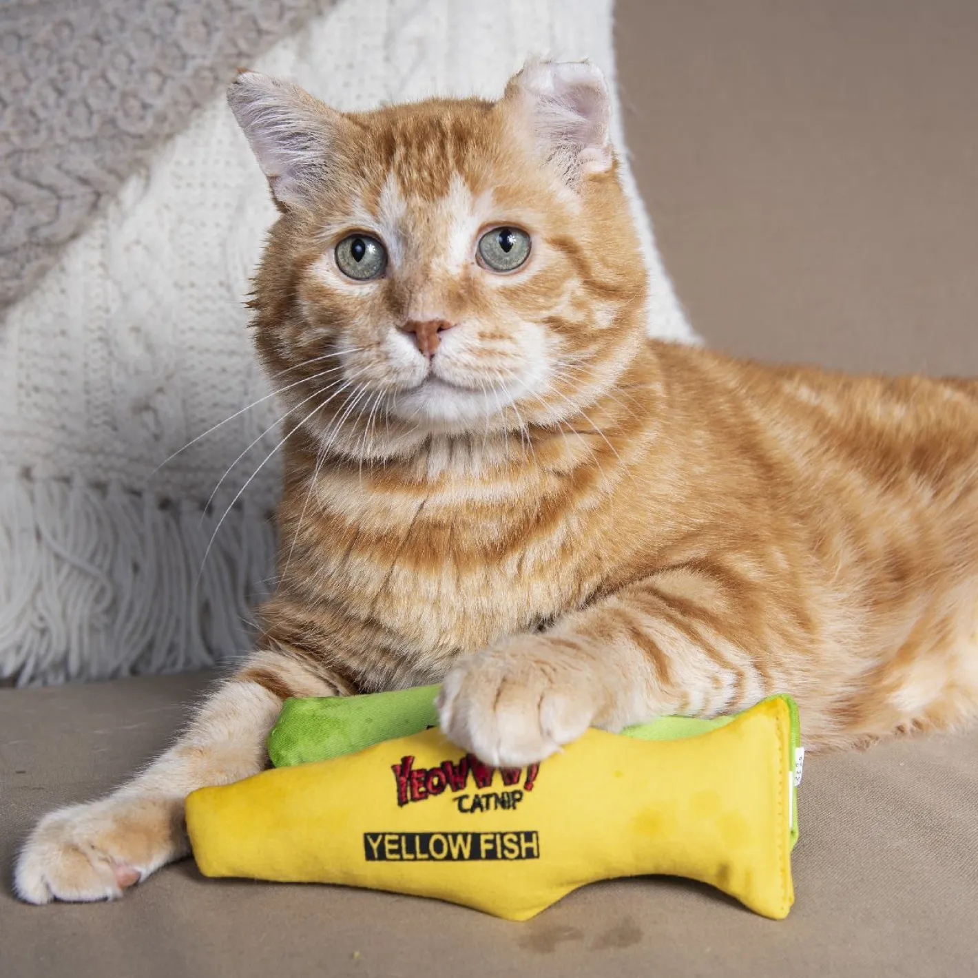 Yeowww ! Cat Toys with Pure American Catnip - Green Fish Online
