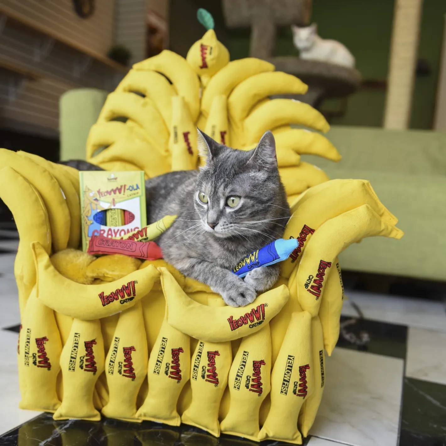 Yeowww ! Cat Toys with Pure American Catnip - !-ola Crayon New