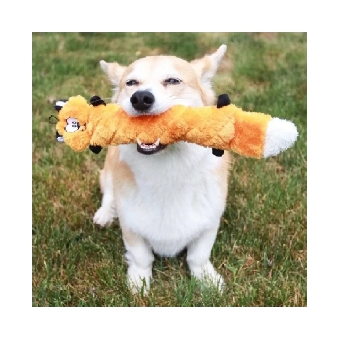 Zippy Paws Jigglerz Shakeable Dog Toy - Fox Clearance