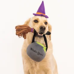 Zippy Paws Plush Squeaker Dog Toy - Halloween Costume Kit - Witch Hot