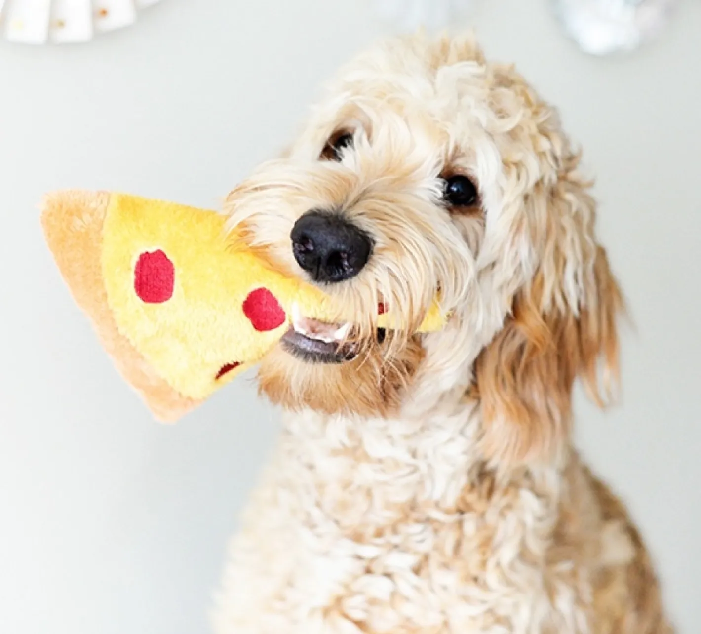 Zippy Paws Squeakie Emojiz Dog Toy - Pizza Slice Outlet