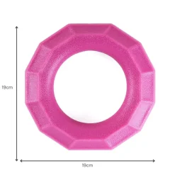 Zippy Paws ZippyTuff+ Fetch & Tug Dog Toy - Magenta Ring Online
